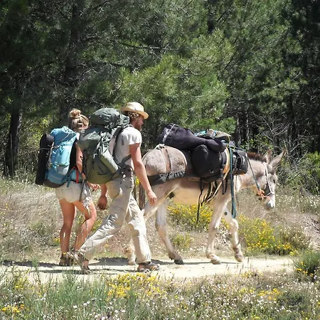Pensión El Tesin 3*