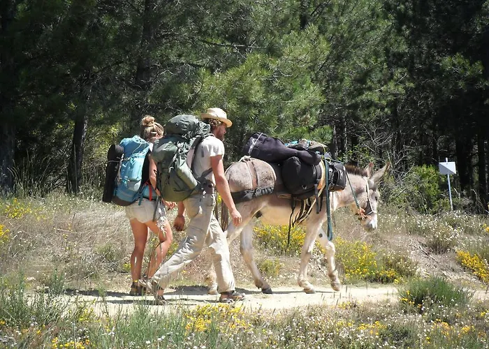 Guest house El Tesin 3*