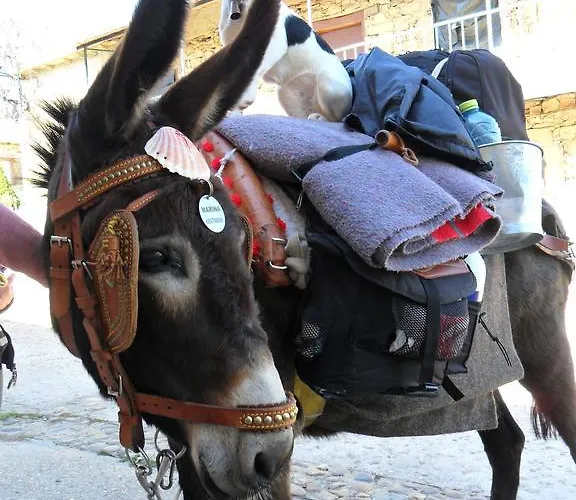 Guest house El Tesin